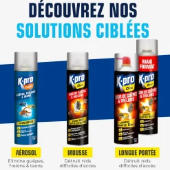 Aérosol contre guêpes et frelons
