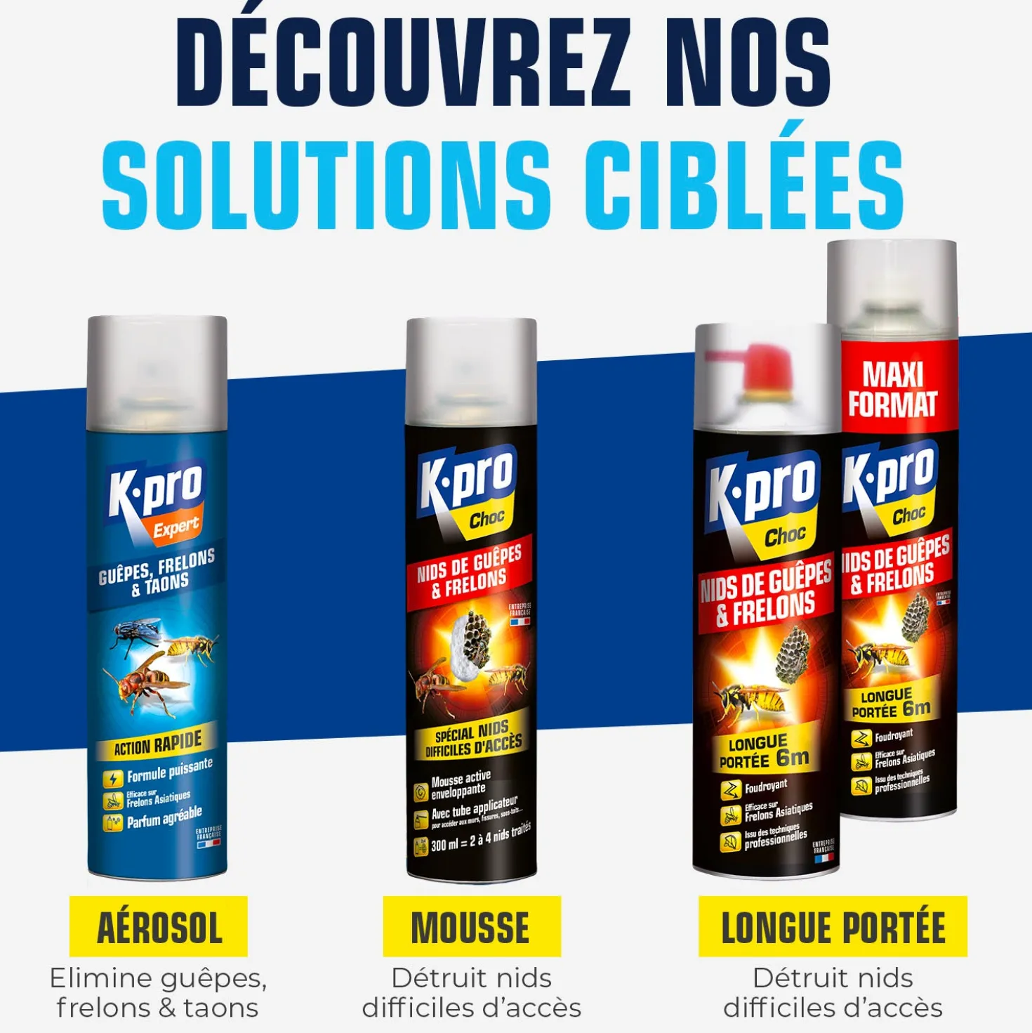 Aérosol contre guêpes et frelons
