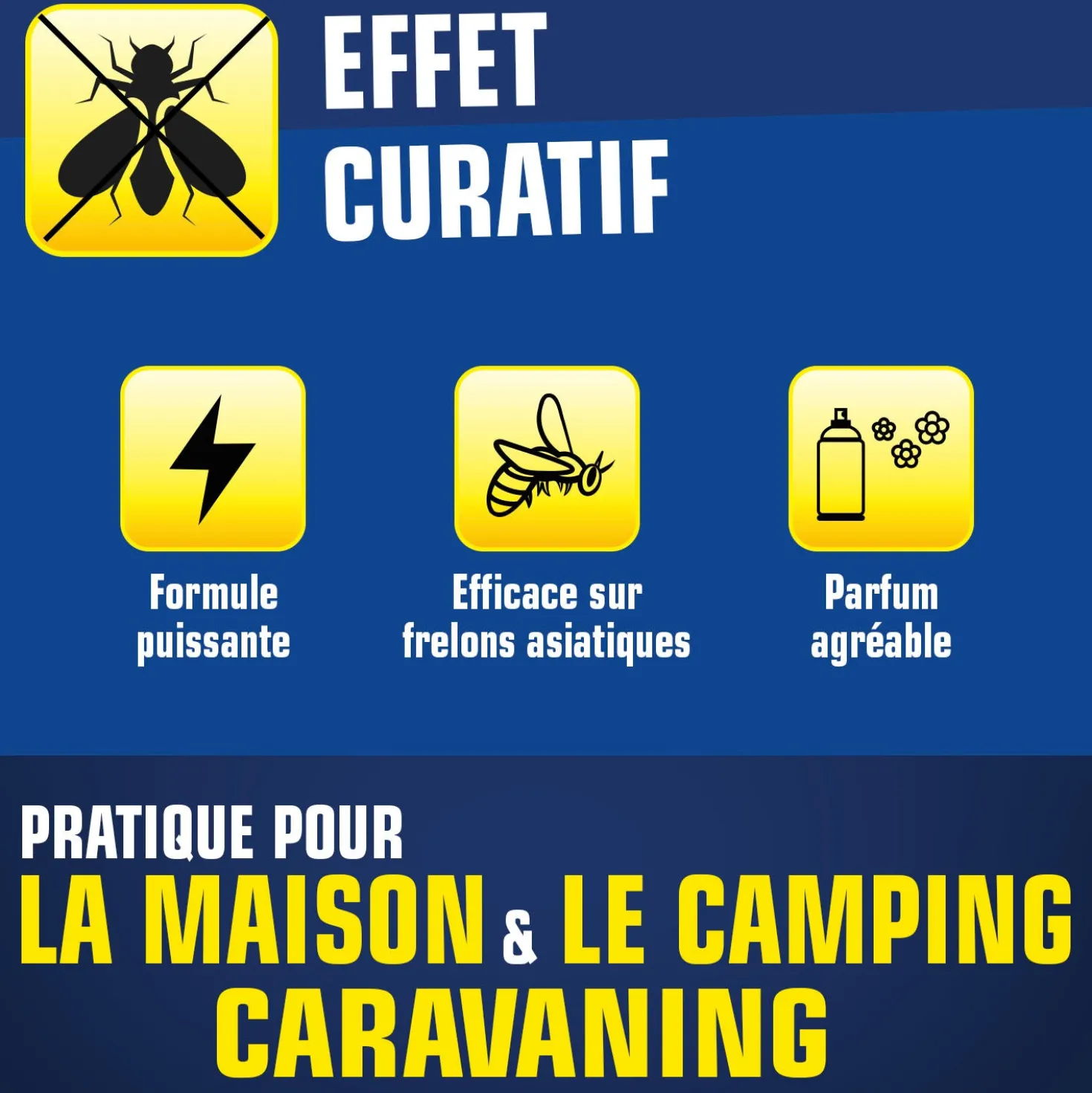 Aérosol contre guêpes et frelons