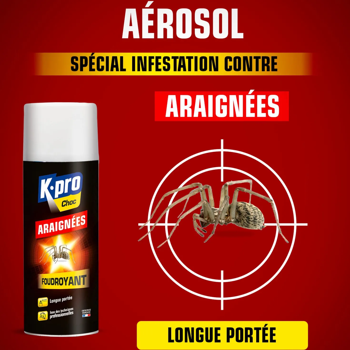 Aérosol foudroyant araignées