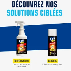 Aérosol foudroyant araignées