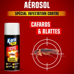 Aérosol foudroyant cafards et blattes