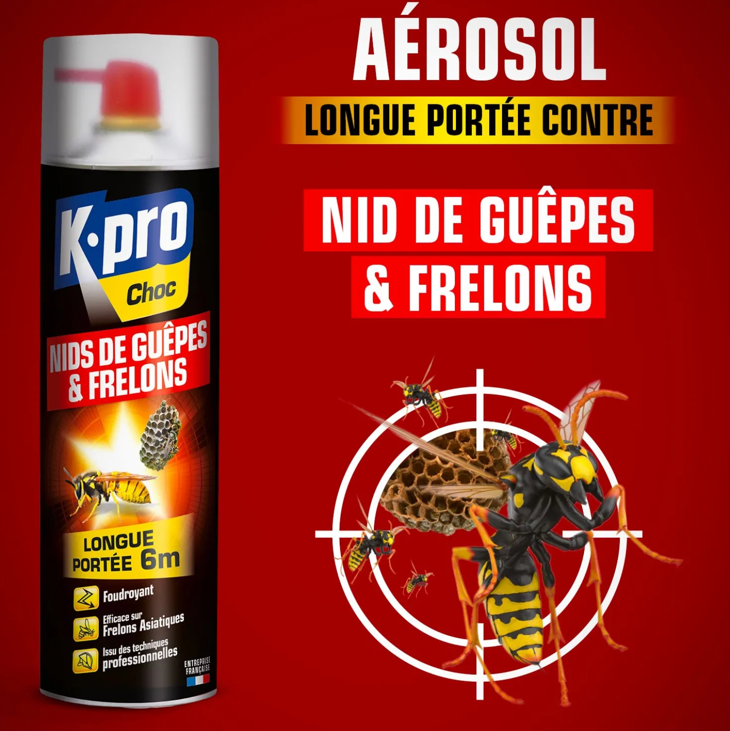 Aérosol foudroyant choc nids de guêpes et frelons