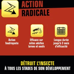 Aérosol foudroyant mites alimentaires