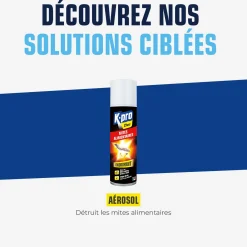 Aérosol foudroyant mites alimentaires