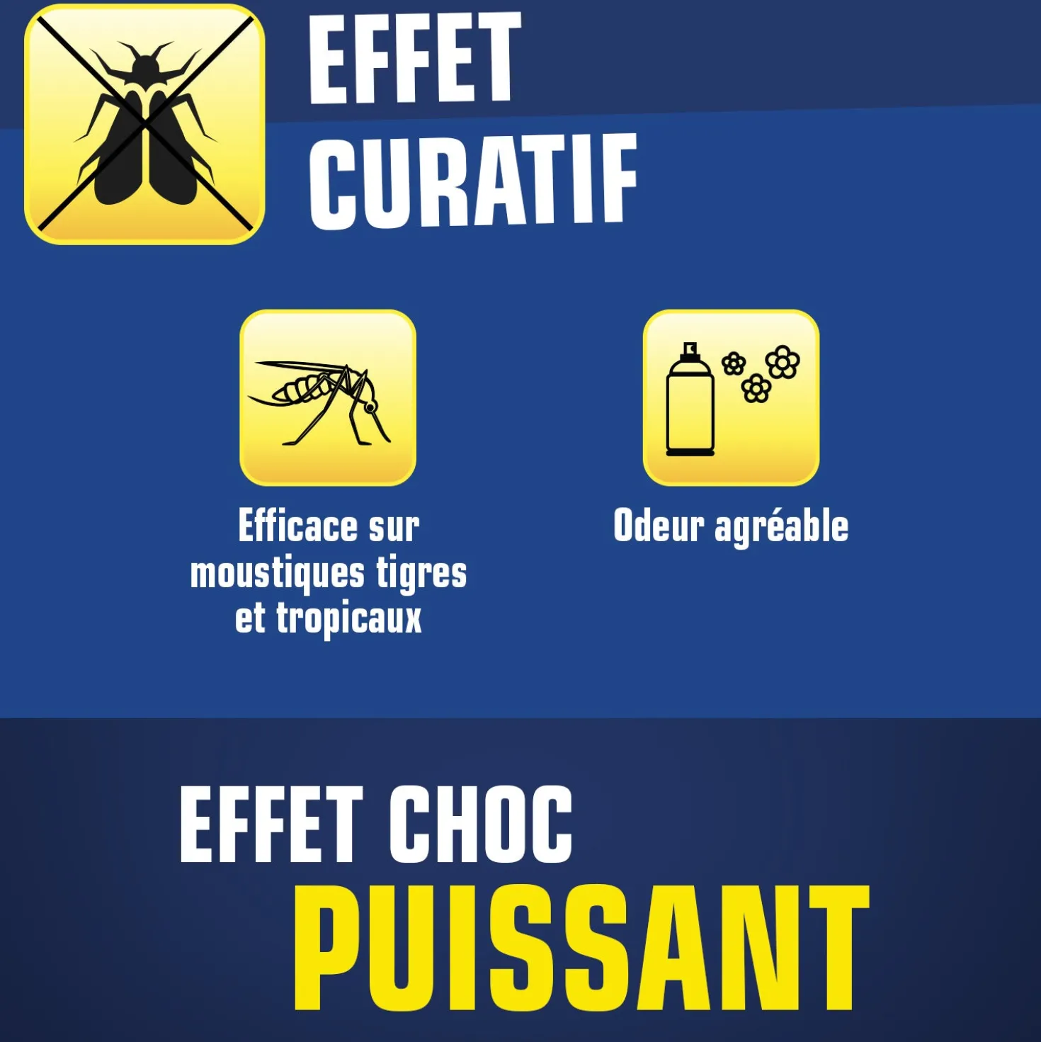 Aérosol insectes volants