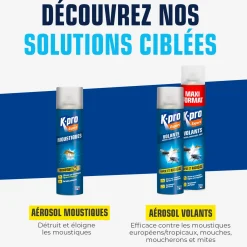 Aérosol insectes volants