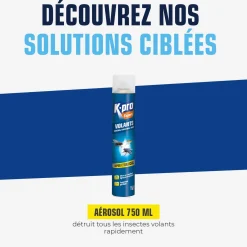 Aérosol insectes volants
