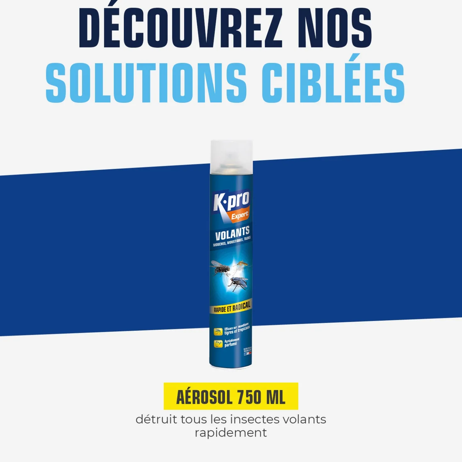 Aérosol insectes volants