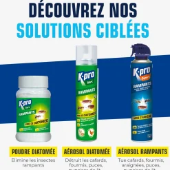 Aérosol Terre de diatomée