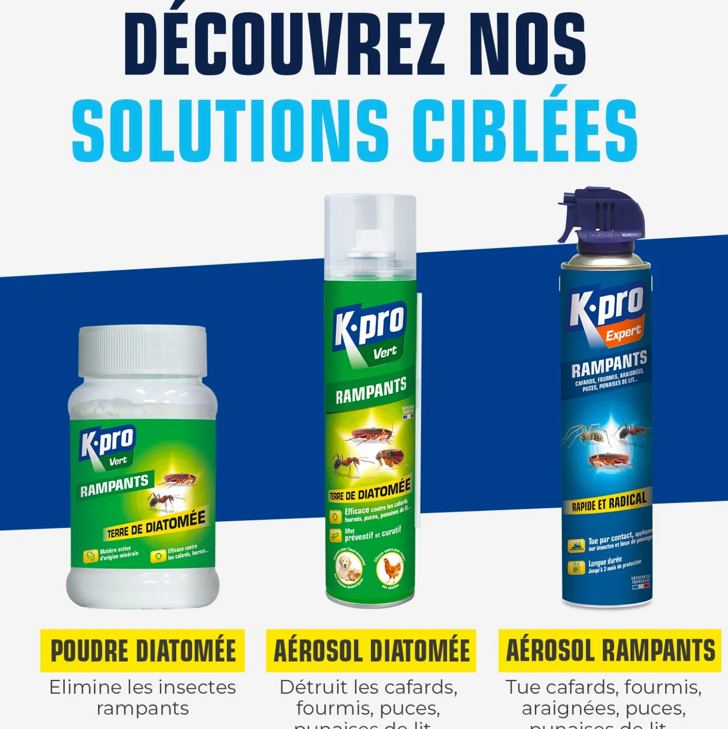 Aérosol Terre de diatomée