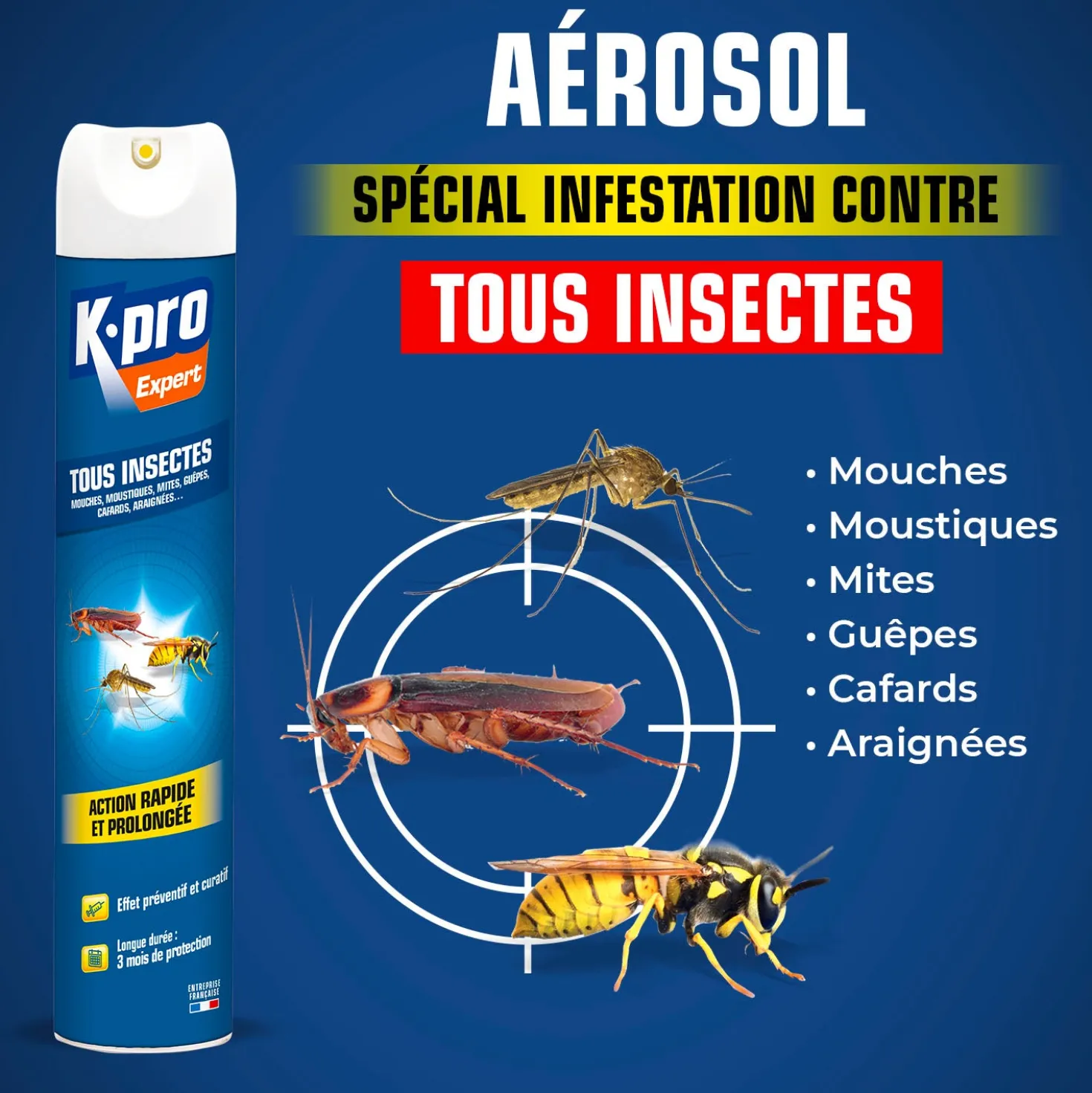 Aérosol tous insectes