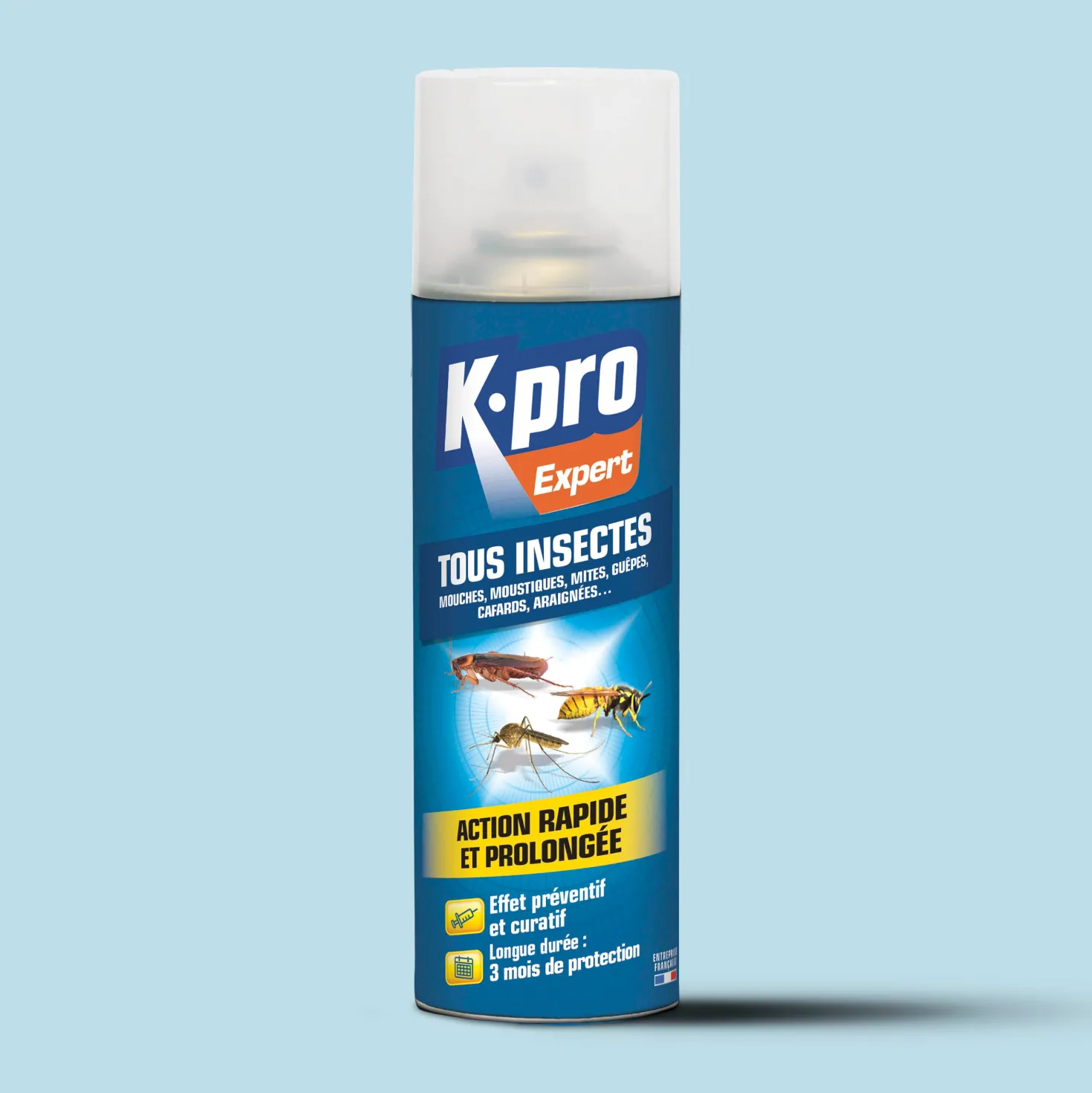 Aérosol tous insectes
