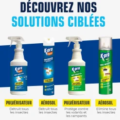 Aérosol tous insectes