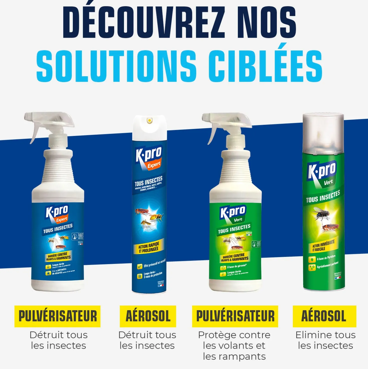 Aérosol tous insectes