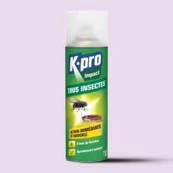 Aérosol tous insectes K.PRO