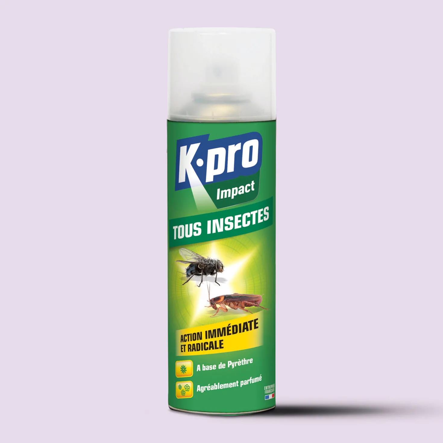 Aérosol tous insectes K.PRO