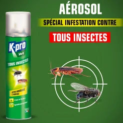 Aérosol tous insectes K.PRO