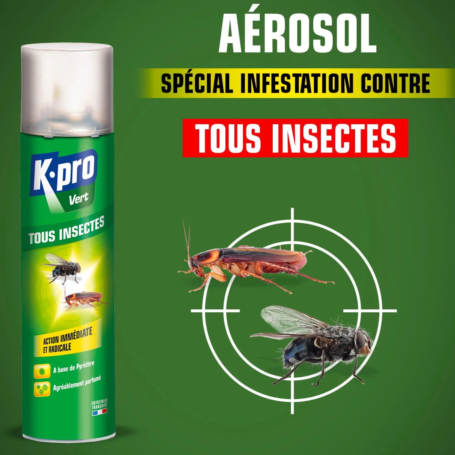 Aérosol tous insectes K.PRO