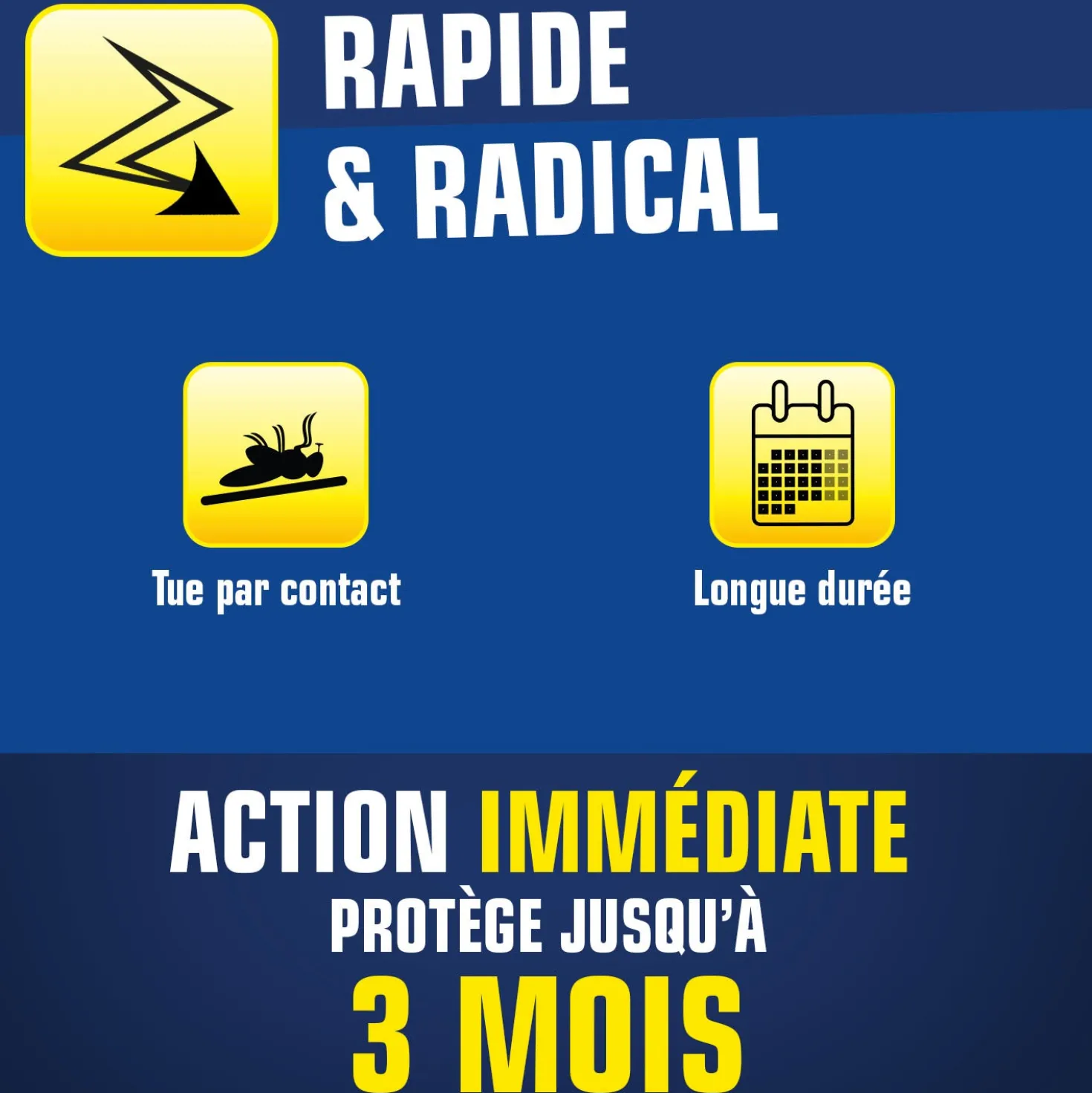 Aérosol tous insectes RAMPANTS