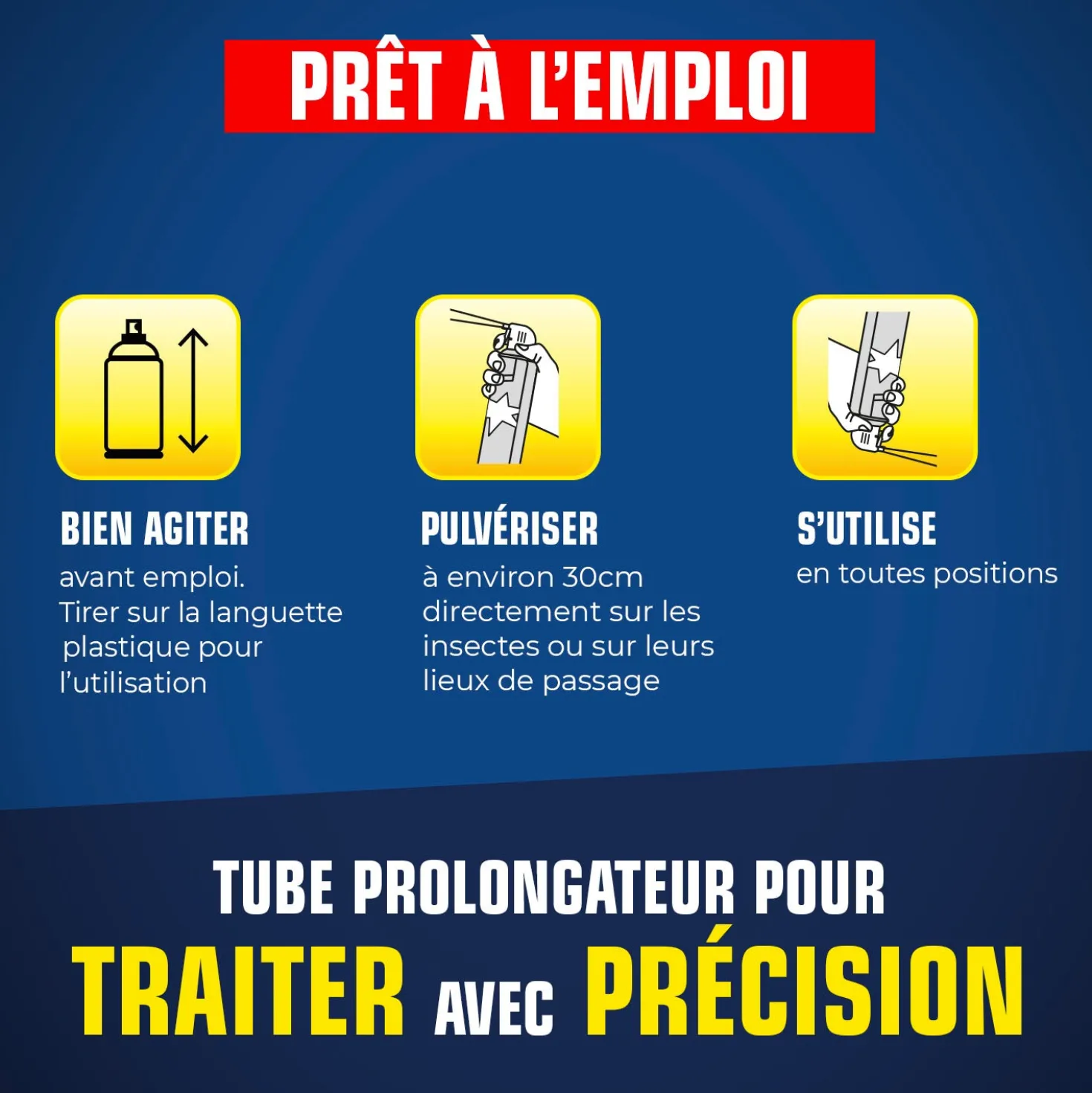 Aérosol tous insectes RAMPANTS