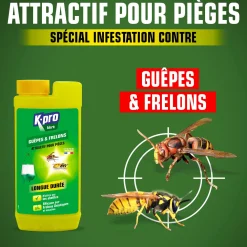 Attractif piège à guêpes et frelons