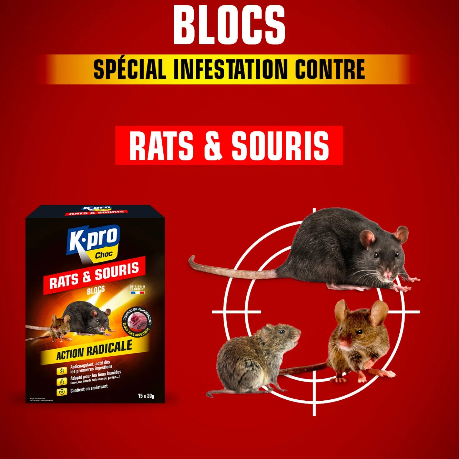 Blocs rats et souris
