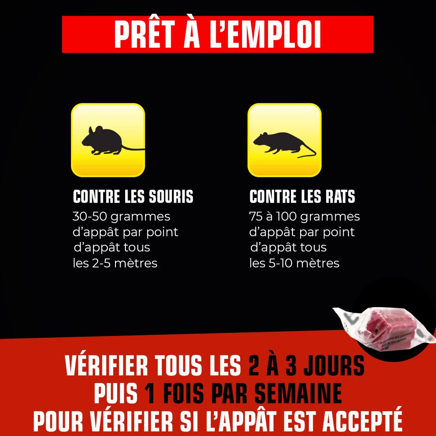 Blocs rats et souris