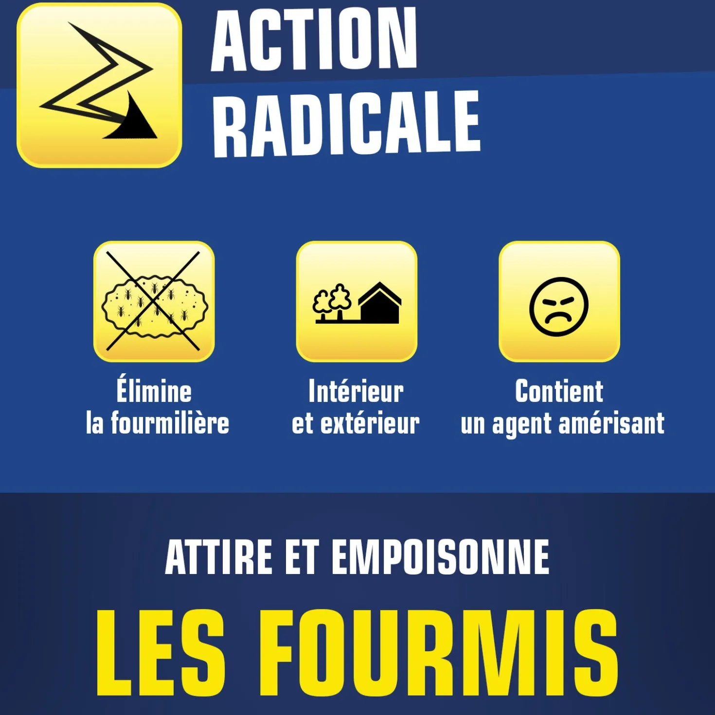 Boite fourmis