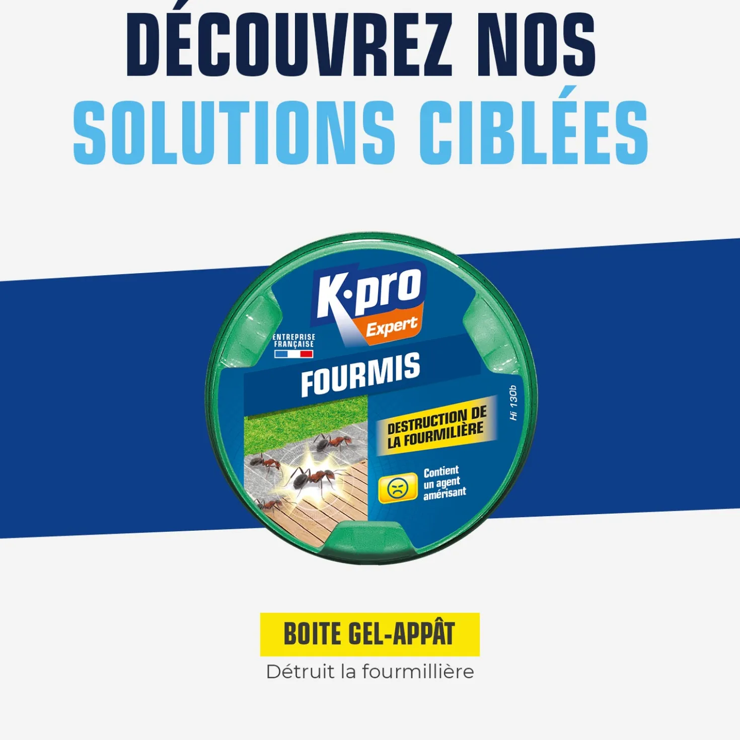 Boite fourmis