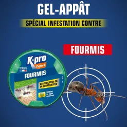 Boite fourmis