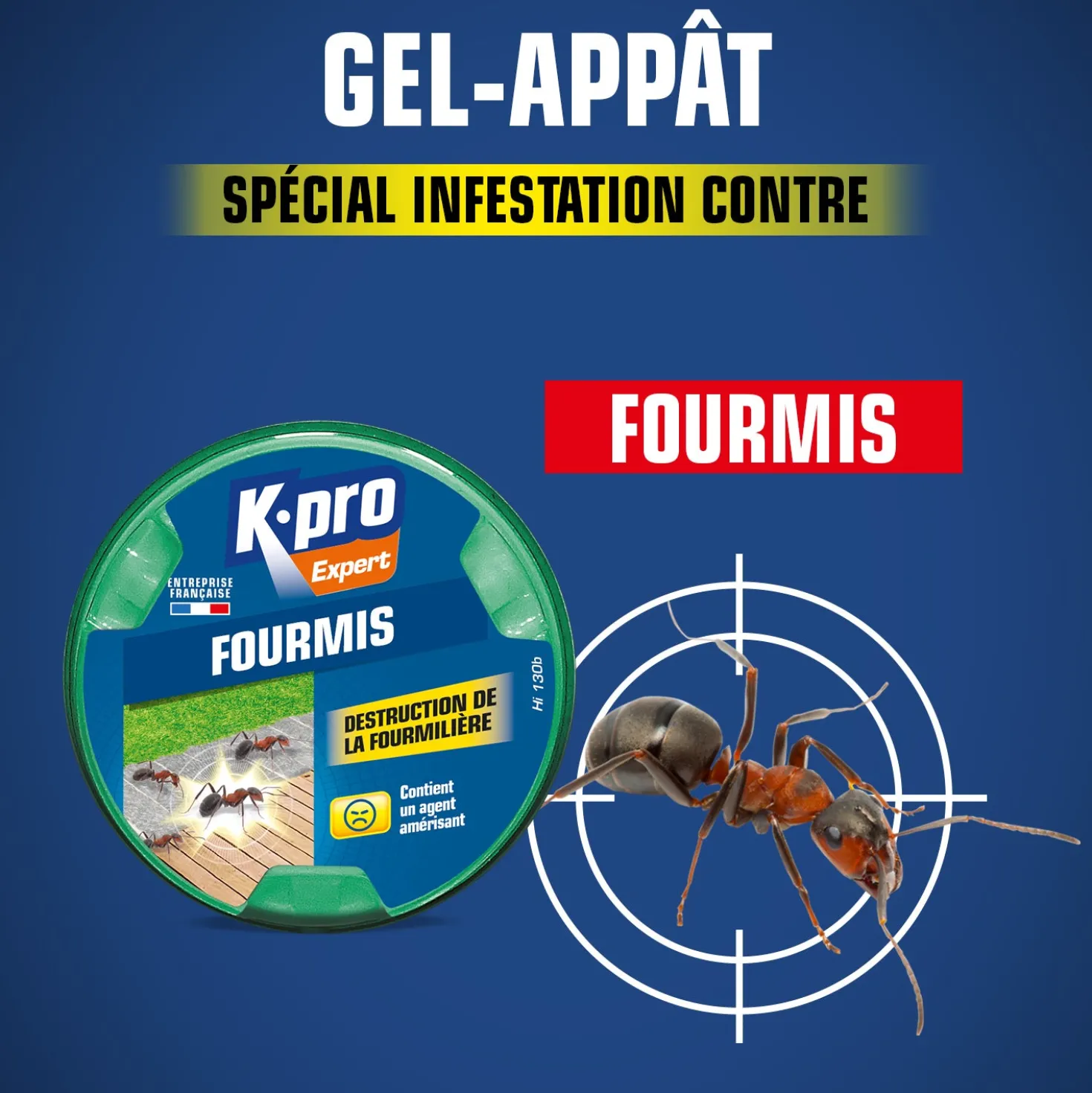 Boite fourmis