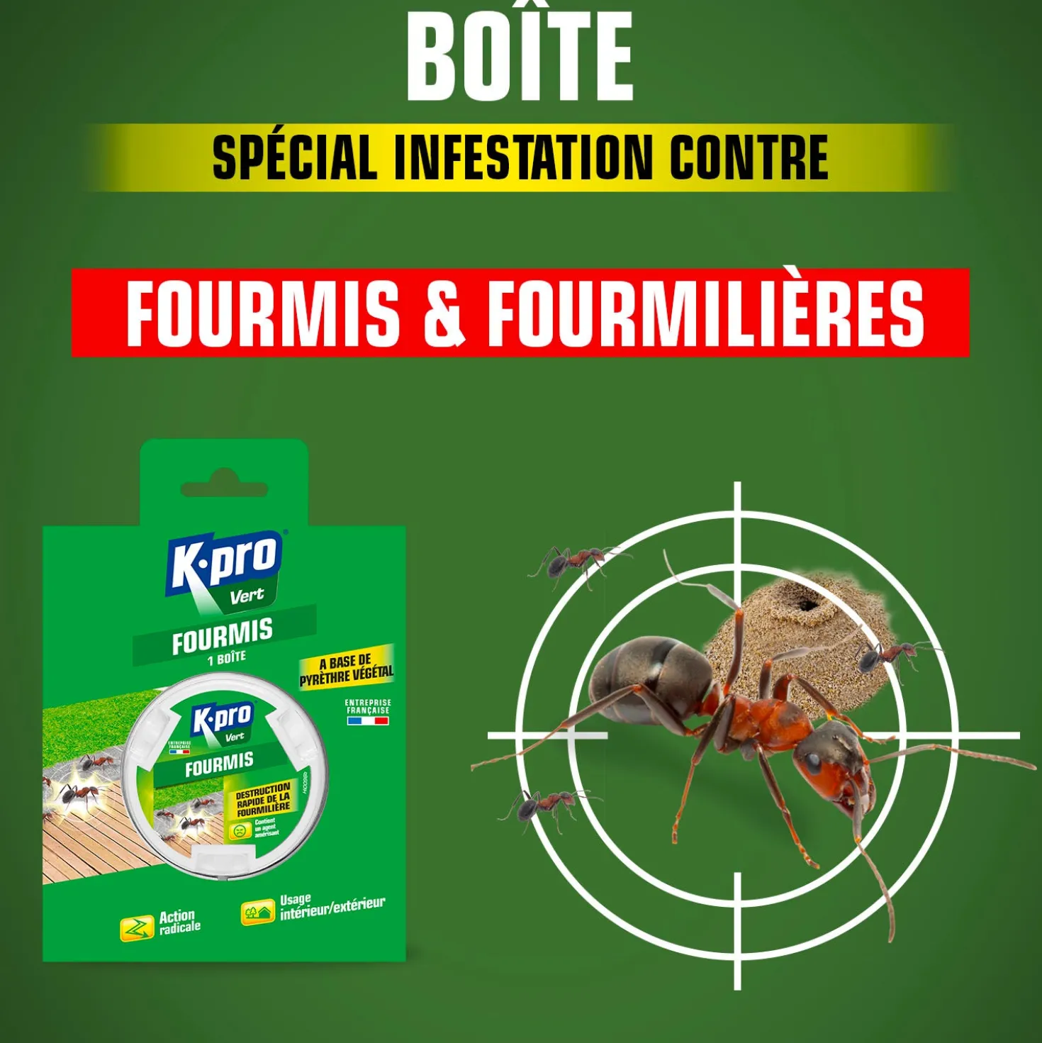 Boîte fourmis K.pro