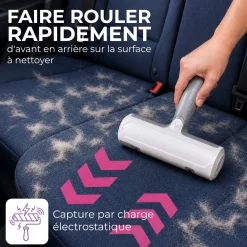 Brosse anti-poils animaux