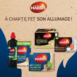 40 cubes allume feu super puissant