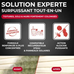 Destructeur de dépôts verts, rouges, lichens et traces noires prêt à l'emploi pour toitures, murs et sols extérieurs