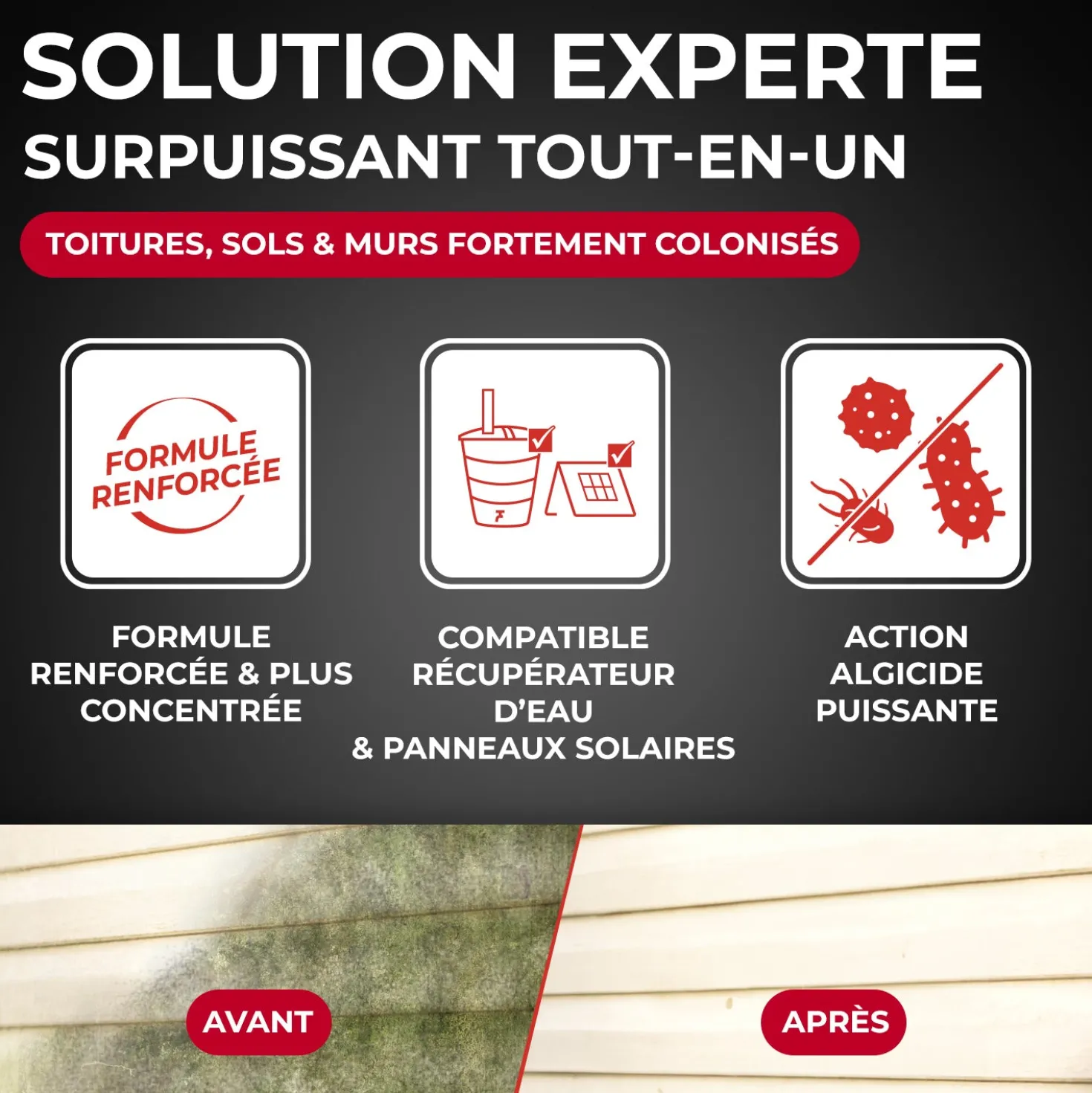 Destructeur de dépôts verts, rouges, lichens et traces noires prêt à l'emploi pour toitures, murs et sols extérieurs