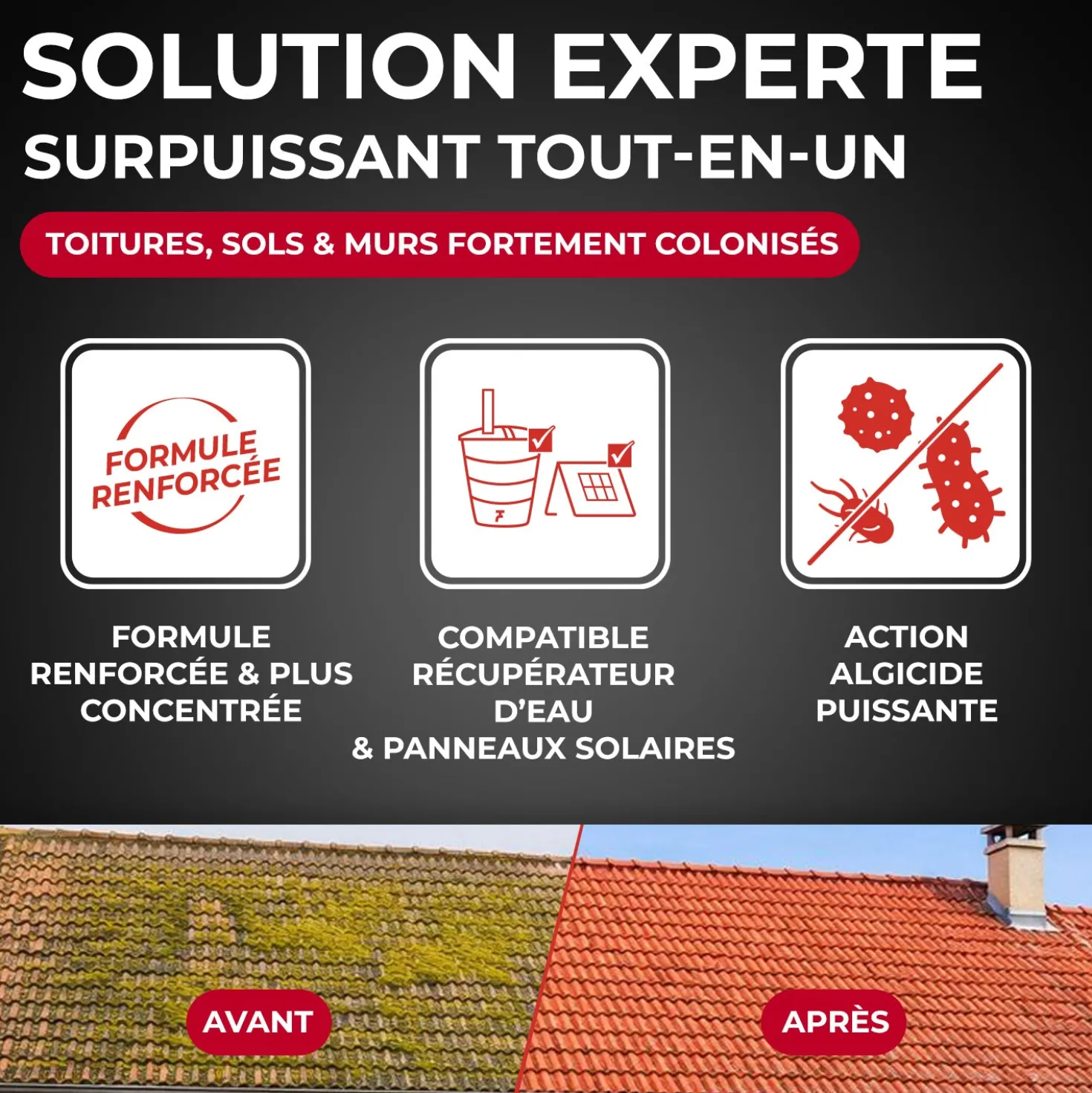 Destructeur de dépôts verts, rouges, lichens et traces noires prêt à l'emploi pour toitures, murs et sols extérieurs