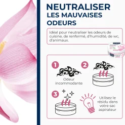 Destructeur d'odeurs Fleur de Lotus