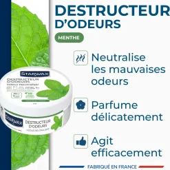 Destructeur d'odeurs Menthe
