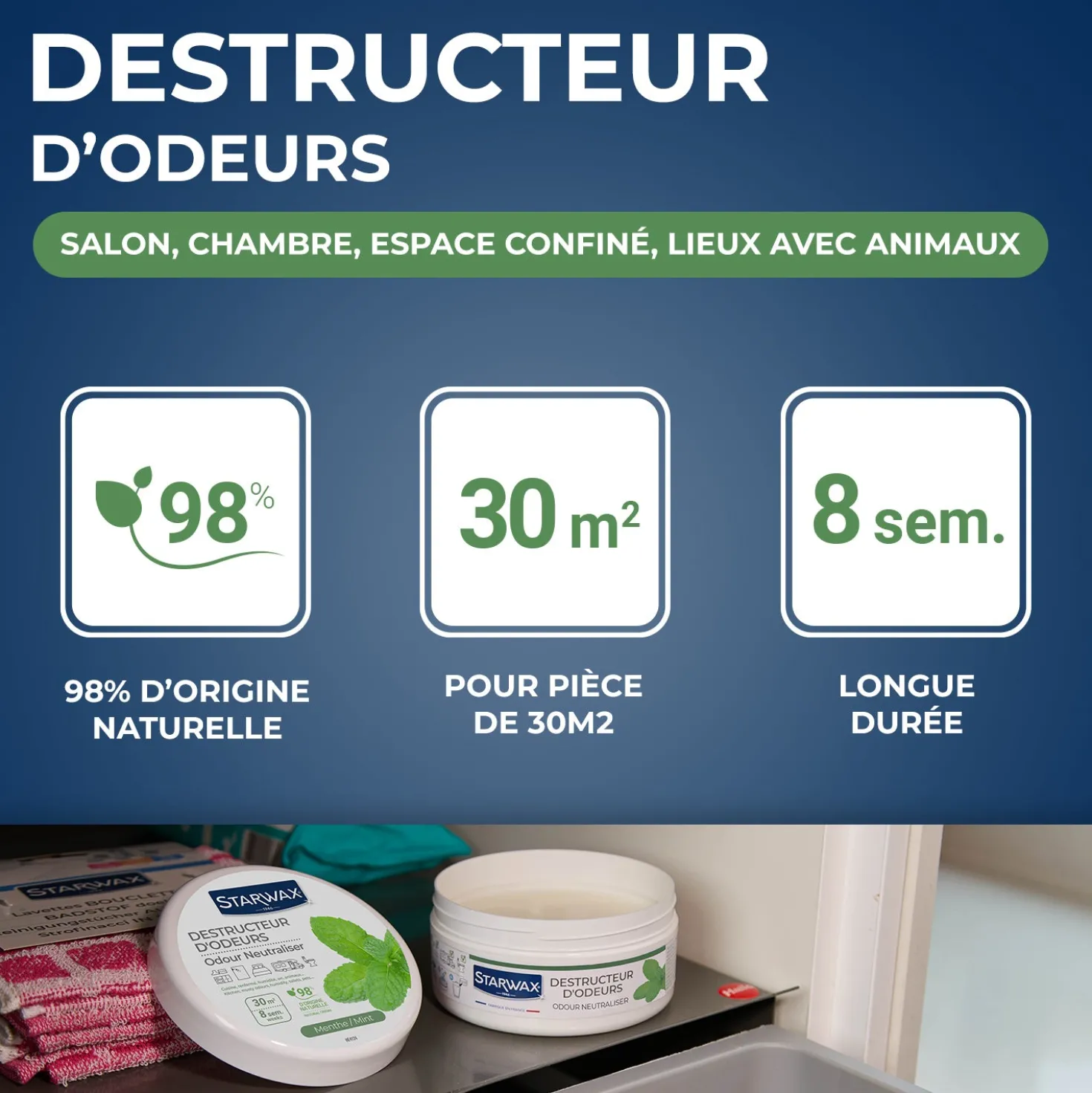 Destructeur d'odeurs Menthe