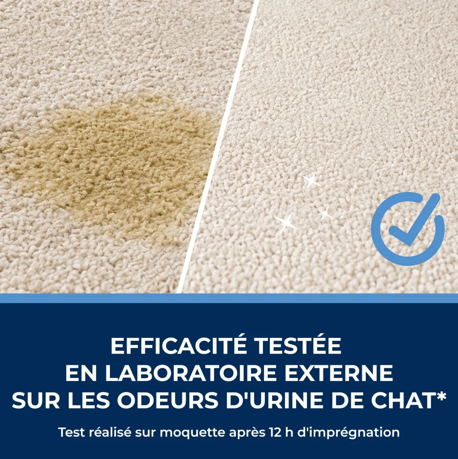 Détachant & destructeur d’odeurs spécial urine