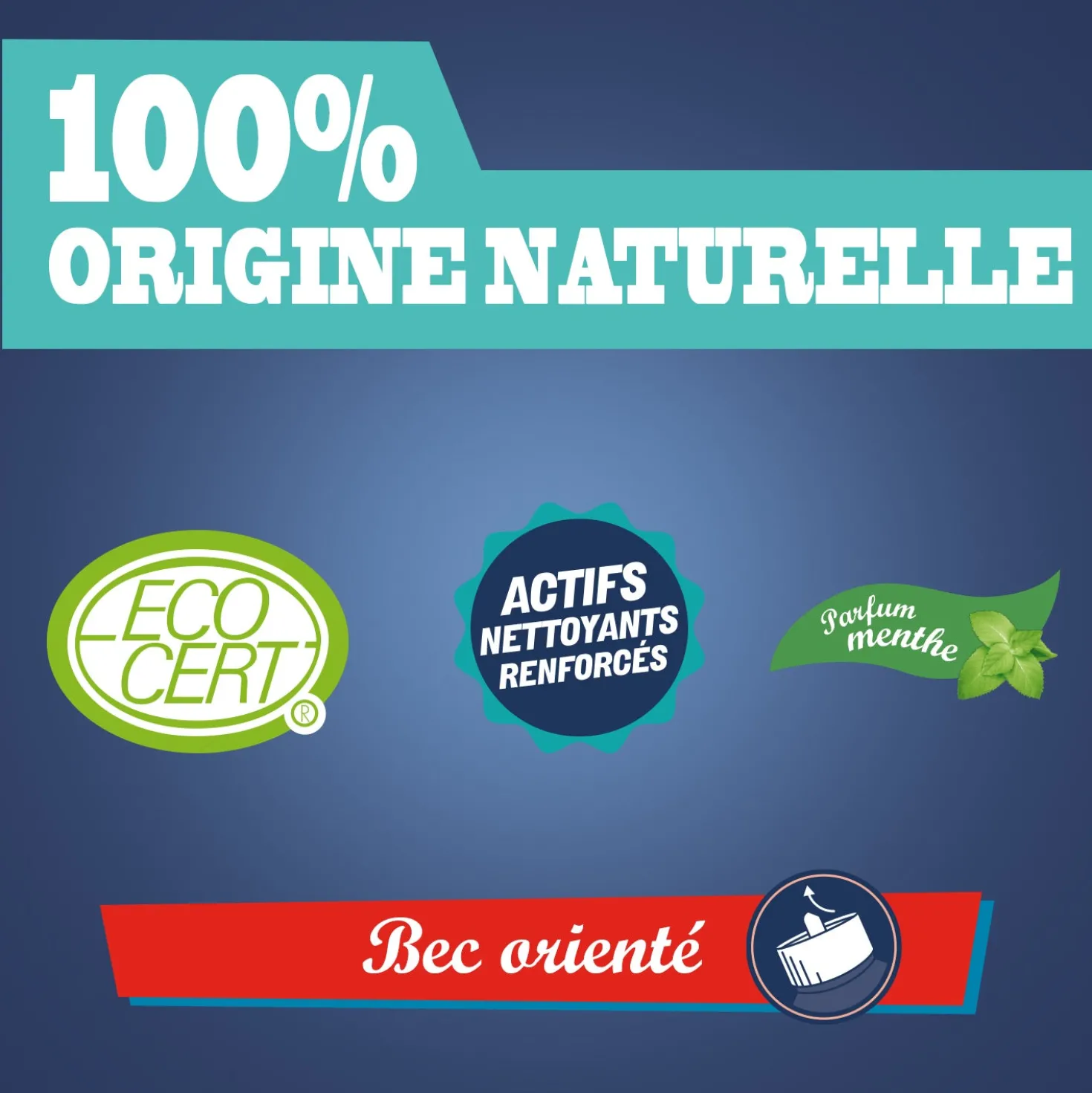 Gel WC au vinaigre de ménage - parfum menthe