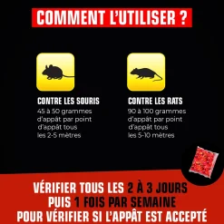 Grains rats et souris