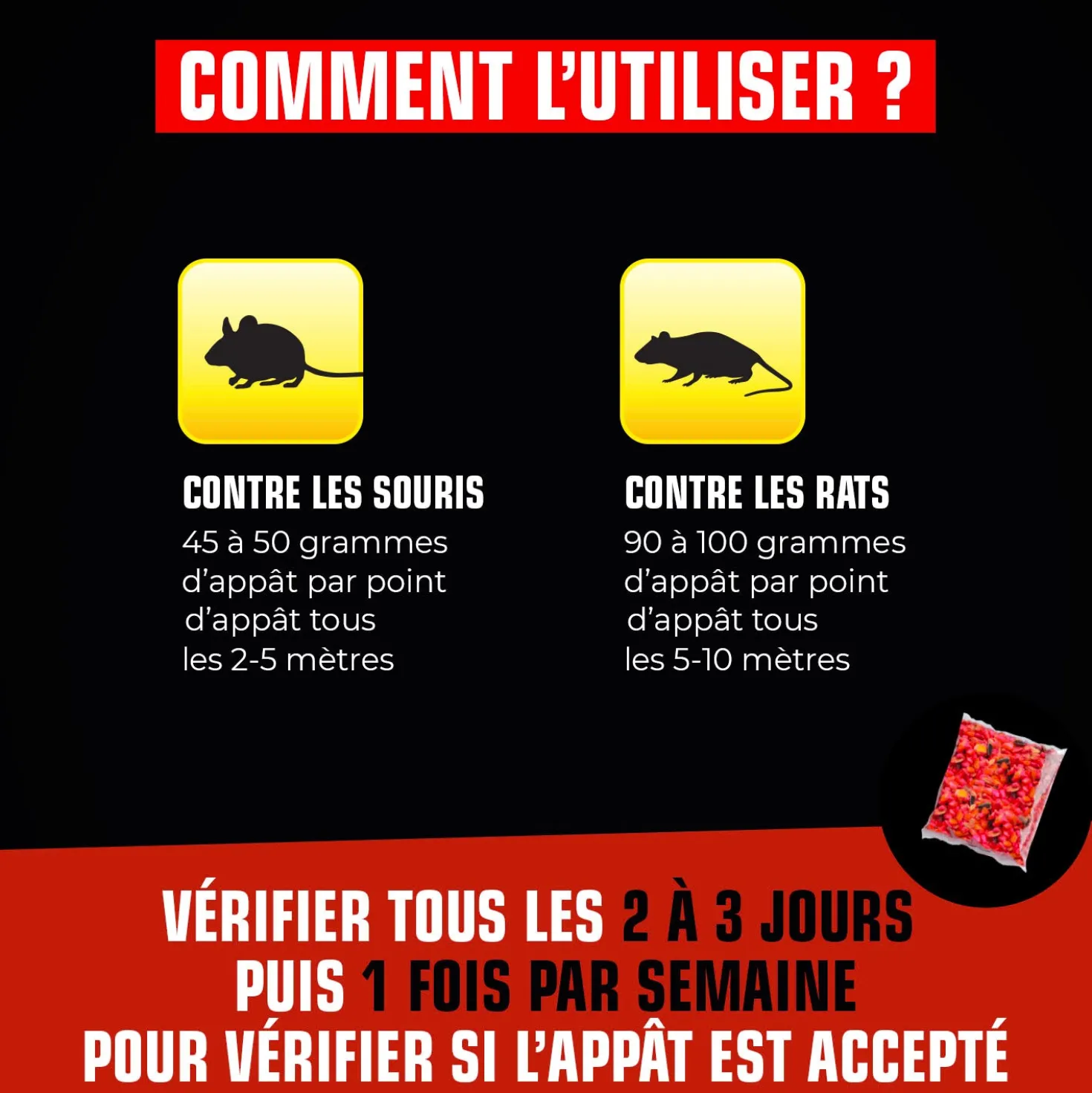 Grains rats et souris
