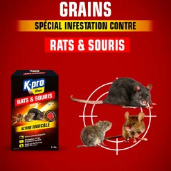 Grains rats et souris