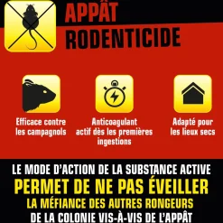 Grains rats et souris