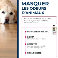 Nettoyant désodorisant surodorant