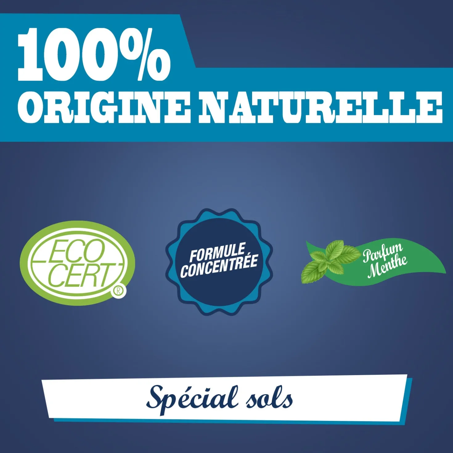 Nettoyant purifiant Sols et surfaces