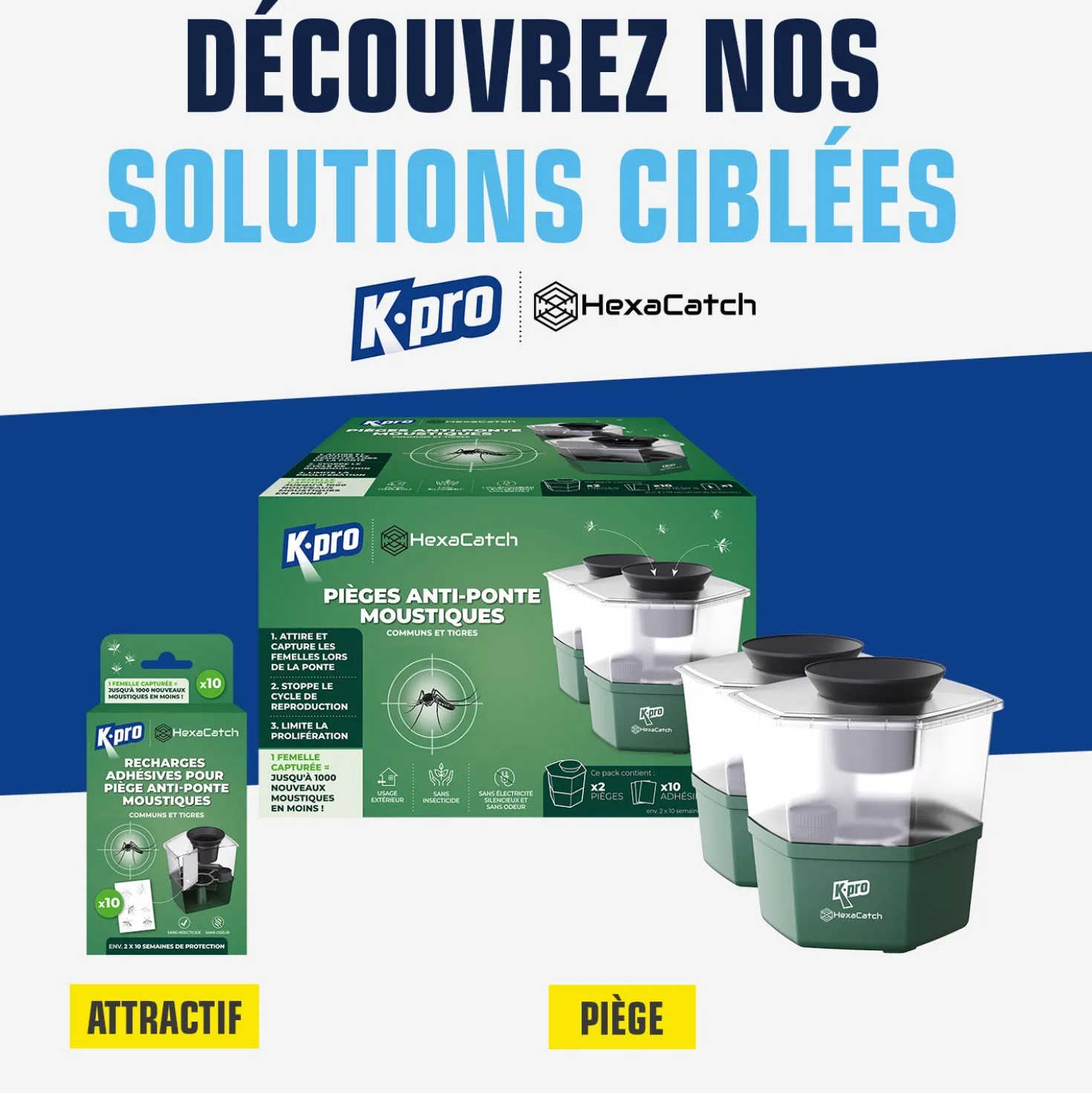 Pack de 10 recharges adhésives pour Pièges anti-ponte moustiques